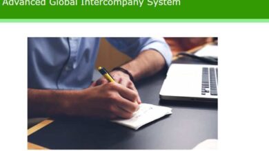 Advanced Global Intercompany System and it's types